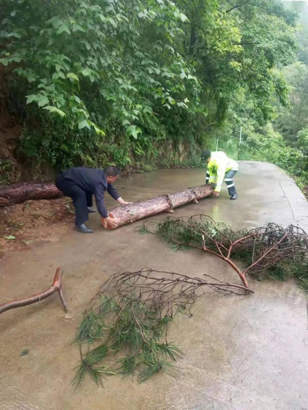包含赛事纷呈，武者临险阵地不直下的词条