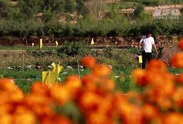 门兴后防扑空连连，失分频繁