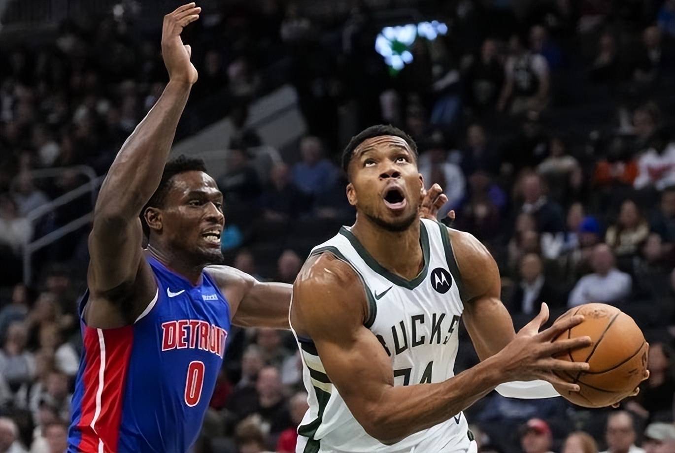 包含雄鹿主场完胜猛龙，字母哥高效砍下35分的词条