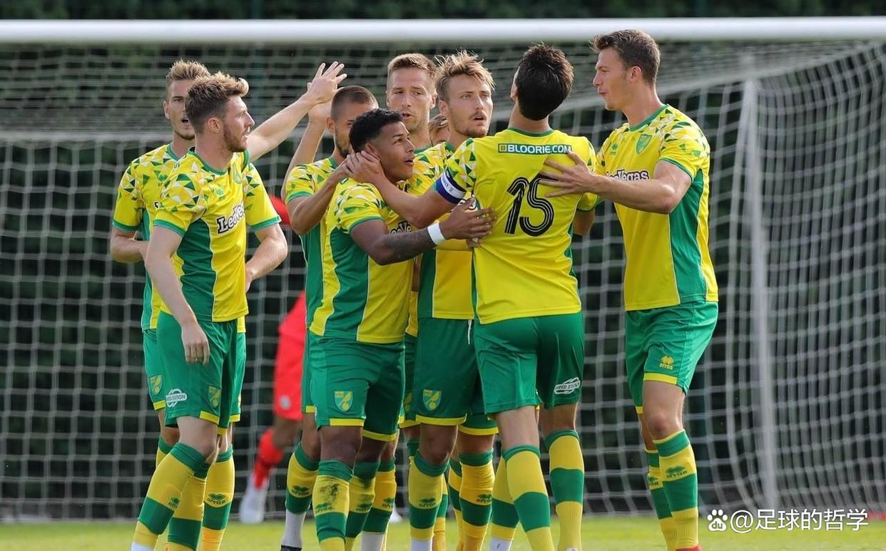 诺里奇主场失利，陷入不利形势